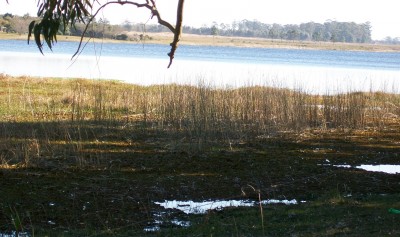 Percia investigativa de dano ambiental provocado por atividade de agricultura de arroz. Cd:3105L