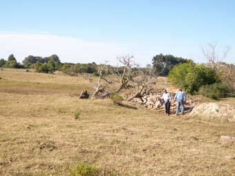 Perícia investigativa de dano ambiental provocado por atividade de agricultura de arroz. Cód:3105L