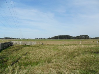 Avaliação de uma Gleba Rural, gravada por servidão administrativa de passagem de Linha de Transmissão de Energia Elétrica. Cód:2015L 