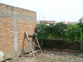 Perícia para demarcação da efetiva localização dos terrenos do Autor e dos Réus, em Jaguarão/RS. Cód:3215P