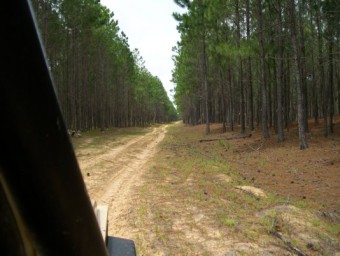 Perícia de Usucapião envolvendo terrenos de Marinha, em São José do Norte - Justiça Federal. Cód:3110P