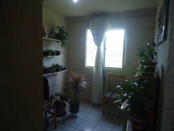 Certificação da origem das patologias expostas em um imóvel residencial. Cód:3270L