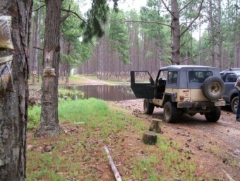 Perícia de Usucapião envolvendo terrenos de Marinha, em São José do Norte - Justiça Federal. Cód:3110P