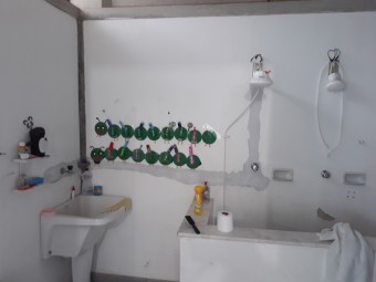 Verificação das condições de insalubridade do local e dos serviços realizados pela Autora em seu cargo como Auxiliar de Educação Infantil. Cód:3590P